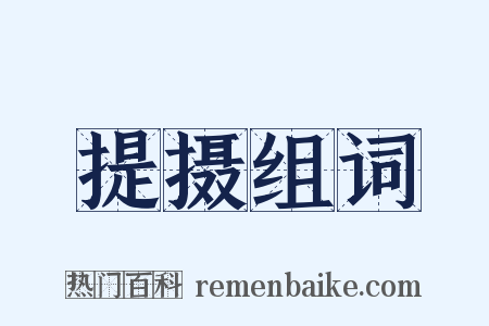 提摄组词是什么意思的图片